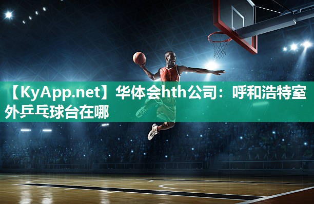 华体会hth公司：呼和浩特室外乒乓球台在哪