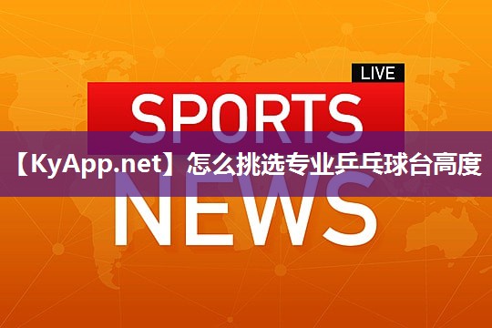 怎么挑选专业乒乓球台高度