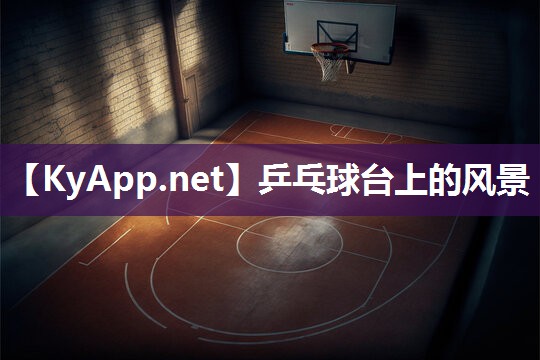 乒乓球台上的风景