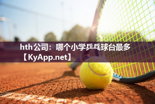 hth公司：哪个小学乒乓球台最多