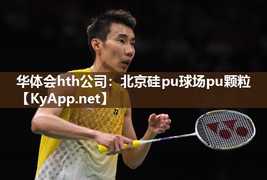 华体会hth公司：北京硅pu球场pu颗粒
