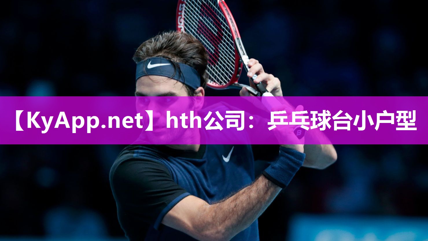 乒乓球台小户型 乒乓球台小户型