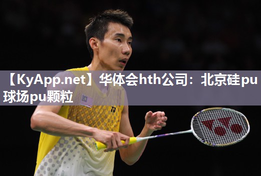 北京硅pu球场pu颗粒 北京硅pu球场pu颗粒