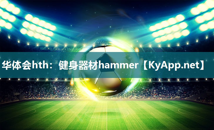 健身器材hammer 健身器材hammer