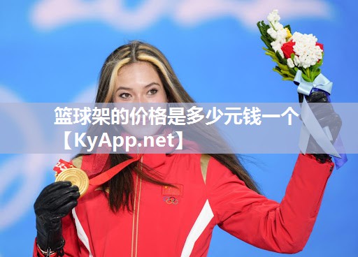 篮球架的价格是多少元钱一个 篮球架的价格是多少元钱一个