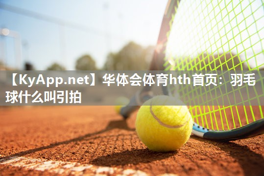 羽毛球什么叫引拍 羽毛球什么叫引拍