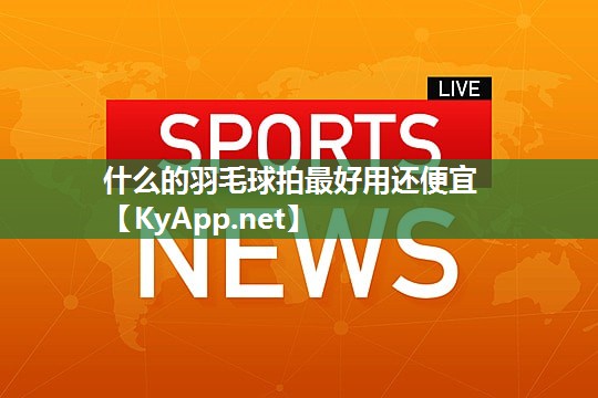 什么的羽毛球拍最好用还便宜 什么的羽毛球拍最好用还便宜