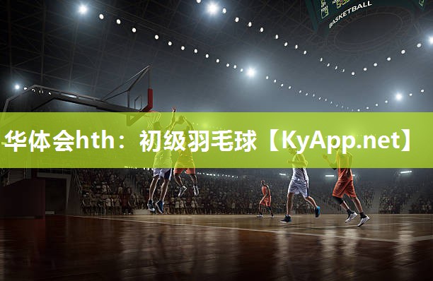 初级羽毛球 初级羽毛球